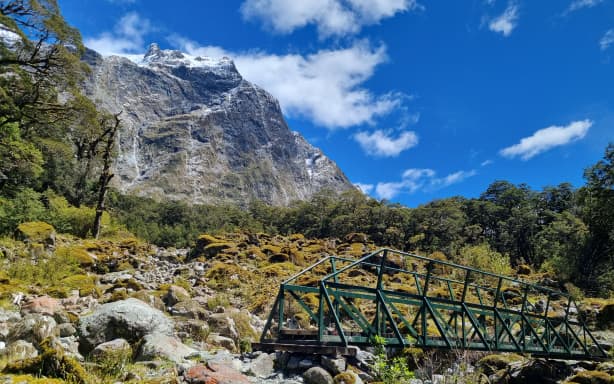 Thousands queue as Milford Track spots book out in minutes | RNZ