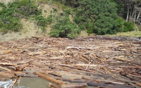 Slash debris after flooding in Tolaga Bay.