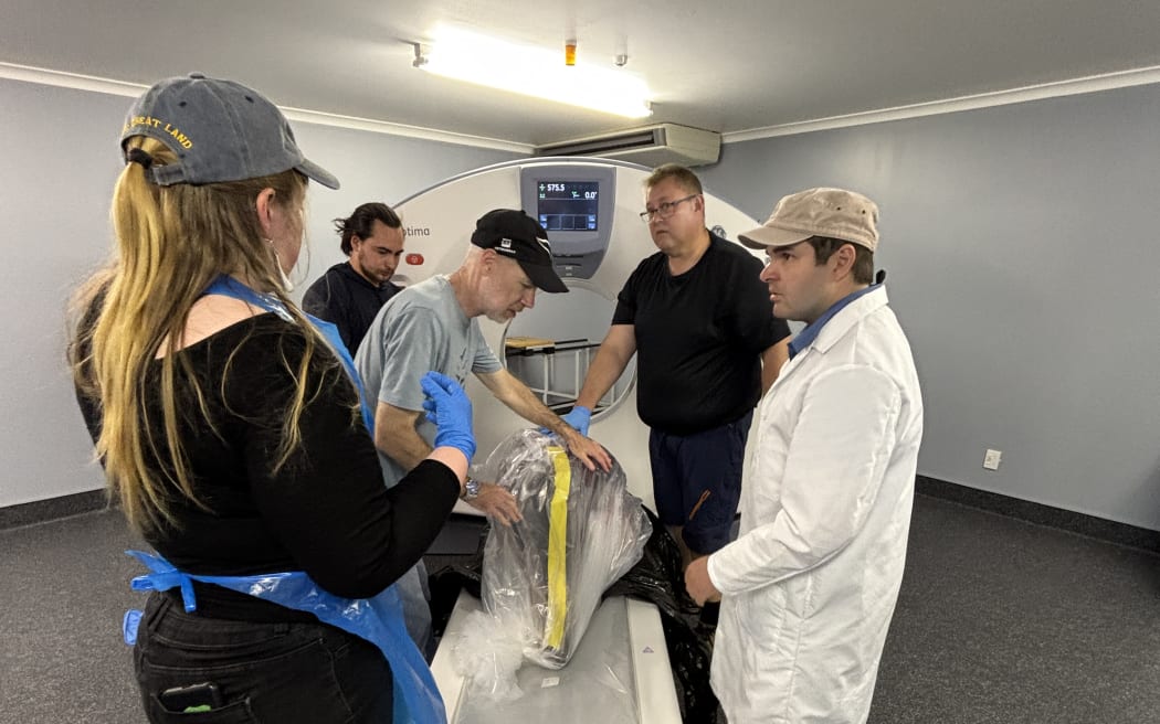 Five people gather around a CT scanner, with a whale's head wrapped in plastic ready to be scanned.