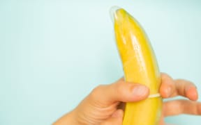 Sex education concept - hands putting condom on banana pastel background, copy space