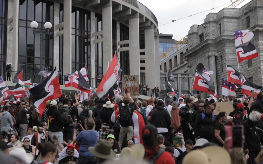 The hīkoi protesting against the Treaty Principles Bill in Wellington on 19 November 2024.