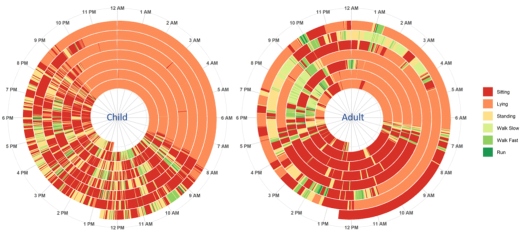 A data representation of time use information taken from a sensor. It's a circular diagram with time in hours mapped around the circumference. Each day is represented by a full turn of the circle, broken down into different activities from sitting, lying, standing walking and running. Different colours represent the different activities. There are two circles - one for a child, and one for an adult. They majority of both circles is either orange (lying) or red (sitting).