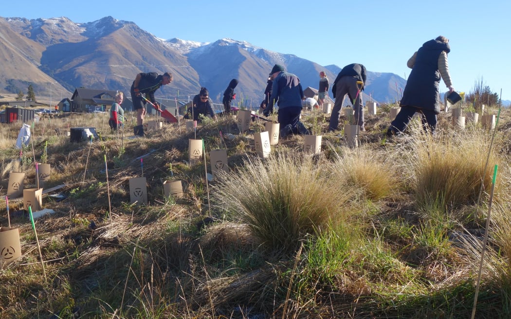 People planting trees near the Lake Ōhau alpine village.