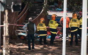 Fire crews assessing the damage after the slide at Parliament grounds was lit on fire on 3 March.
