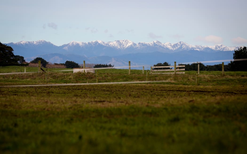 Photo from a Rongotea organic milk farm looking out towards the Tararua Ranges in the Manawatu.