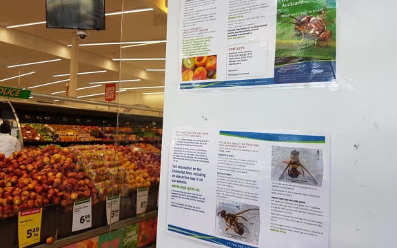 Sign in Devonport New World about the Queensland fruit fly