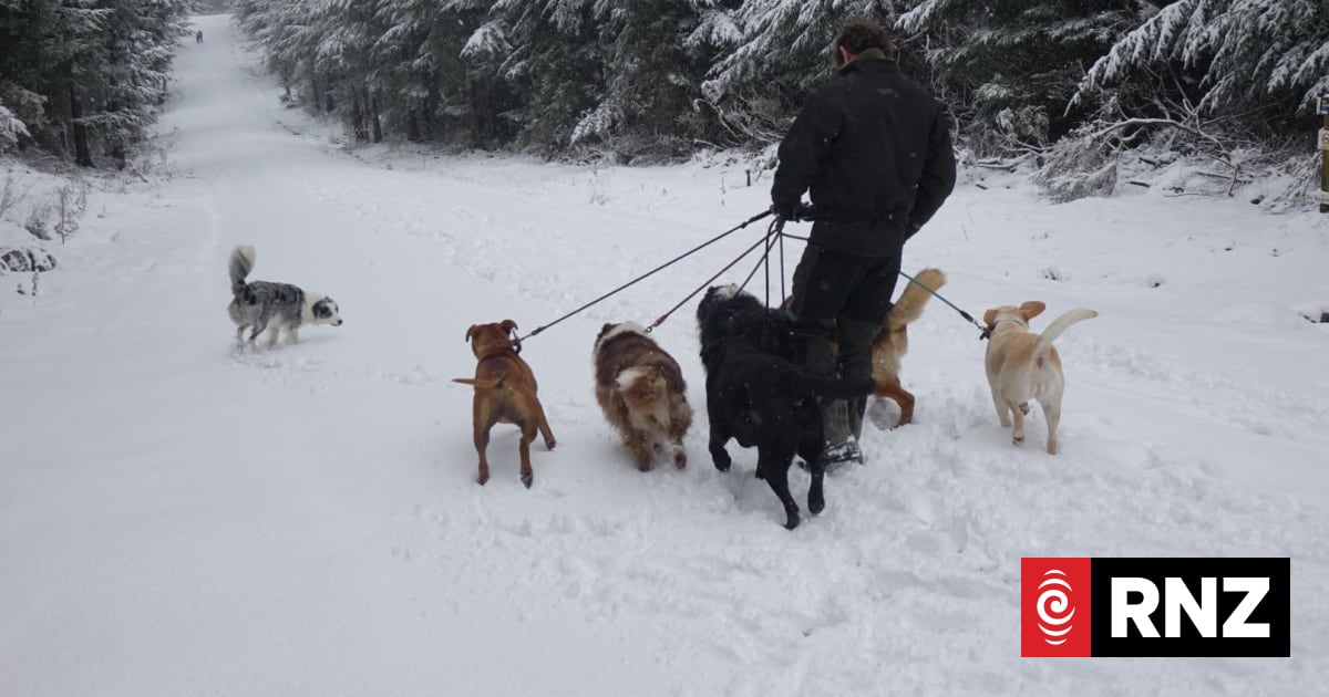 Live weather: Snow closes highway in South Island, power restored to most in Hawke's Bay