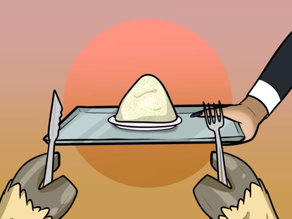 No cookies or corn chips on this flight. Olympic horses need a high energy, high fibre mix of grains and oats.