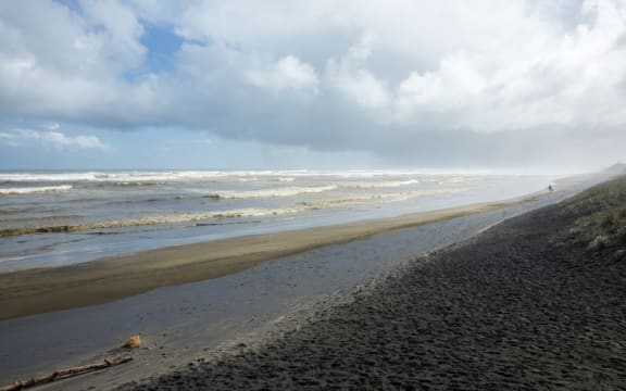 Muriwai Beach