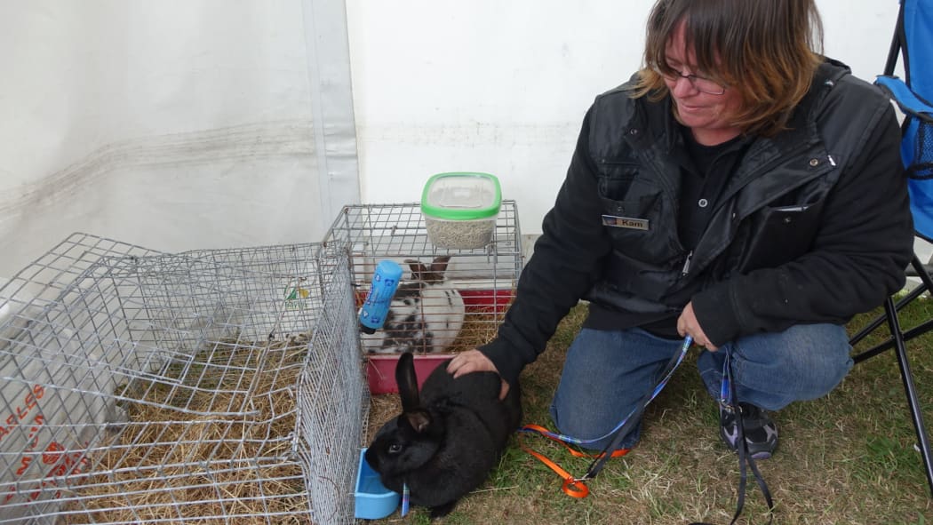 Kam Mock with Midnight and Dolly bird, her two show jumping rabbit.