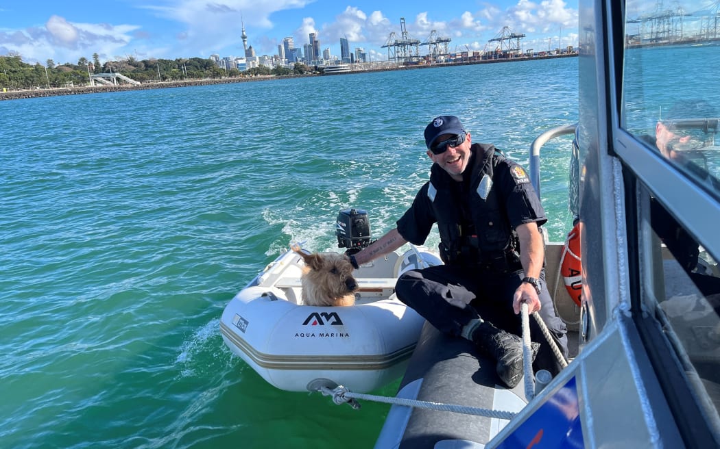 Police rescue dog named Huxley after it drifted out to sea in a tender in Auckland.