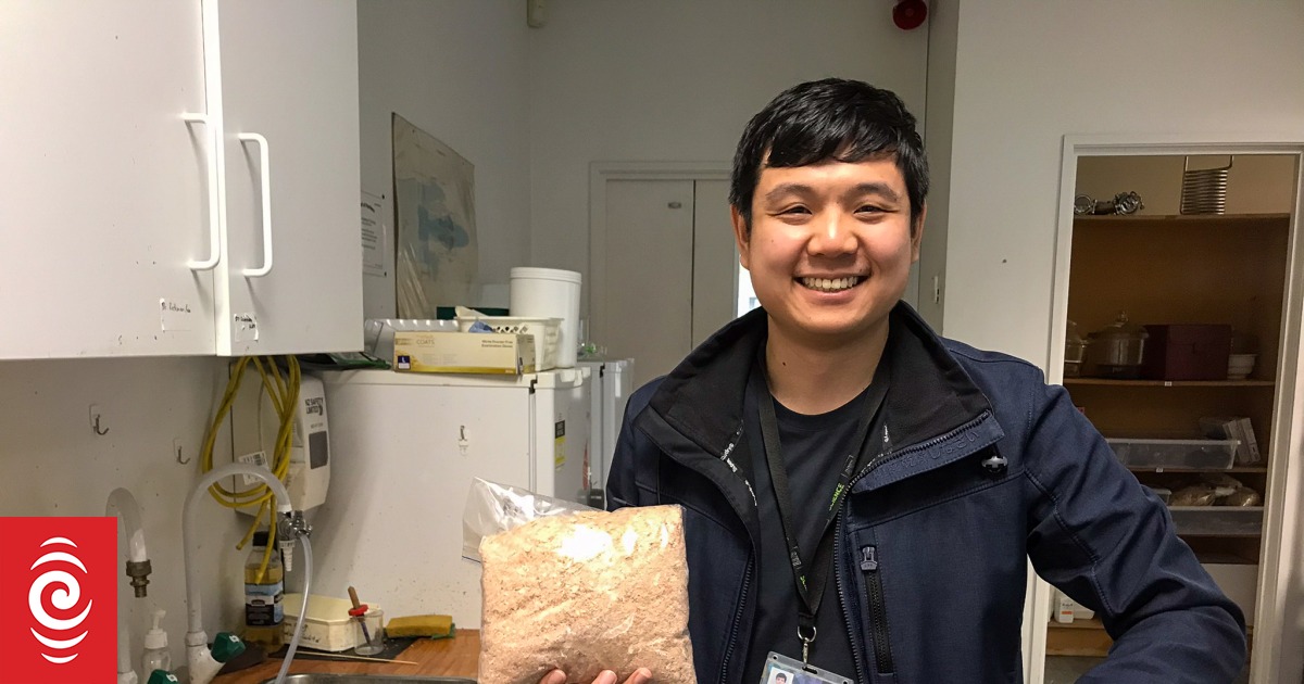 Turning food waste into wealth RNZ