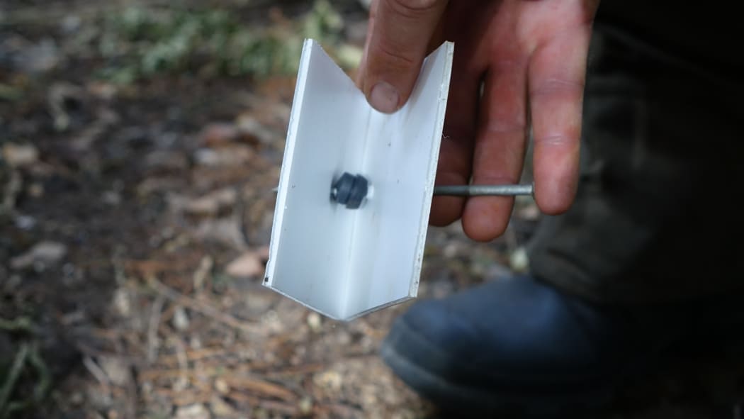 Lure impregnated with possum urine