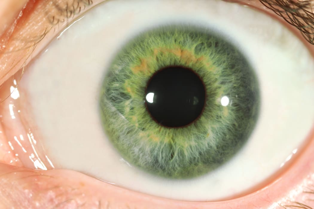 Human eye close-up