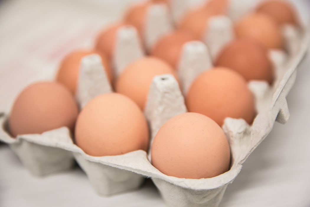 Generic eggs in cartons