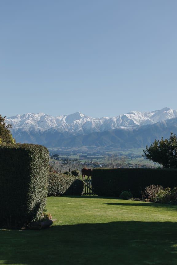 “I used to go down to Arrowtown and Queenstown in autumn because I just love the colours,” says Jill. “We don’t get the same colours here but we do have the mountains and the blue sky.”