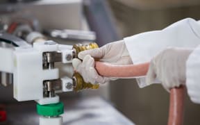 Close-up of butchers processing sausages at meat factory