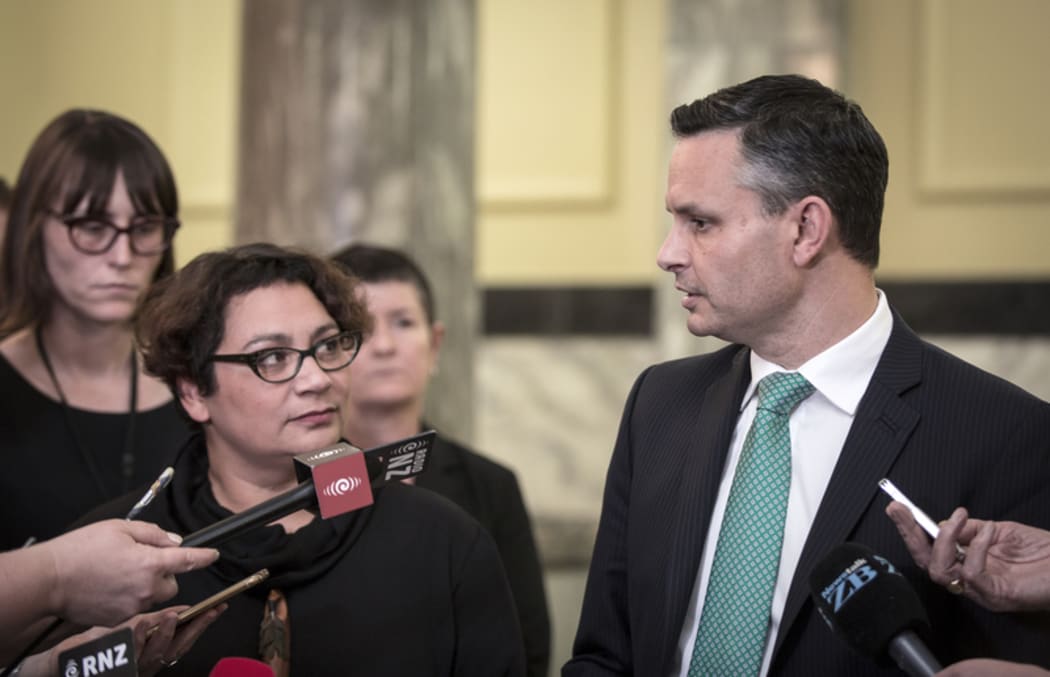 Metiria Turei resigns as Green Party co-leader
