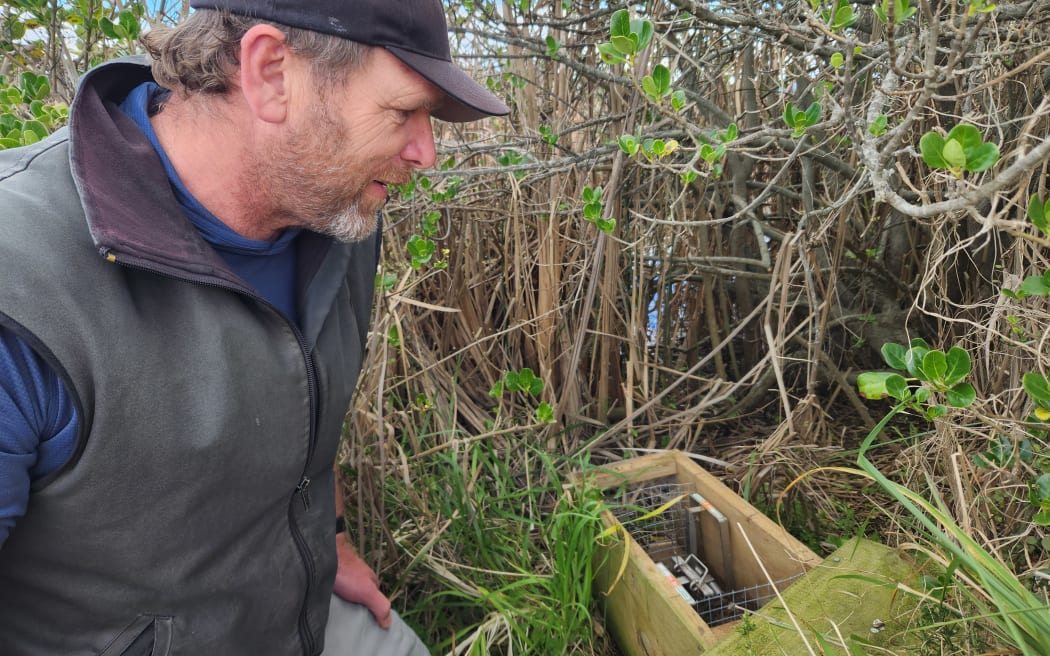 Ben beside a trap used for catching mustelids and rats beside the Thornton Lagoon