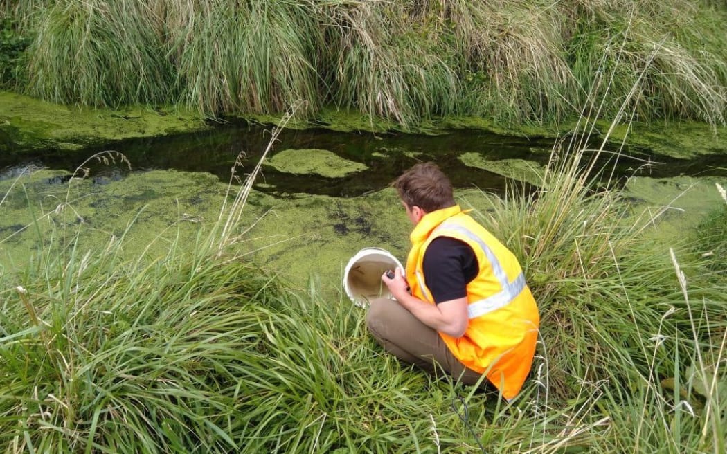 The fish were moved from drains on Daleton Farm.