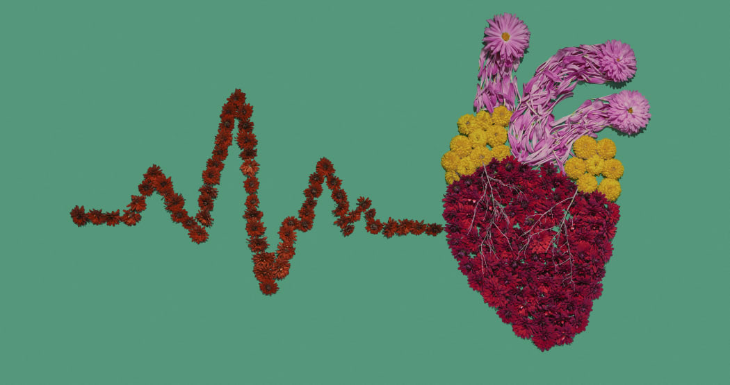 Heart health, conceptual image. (Photo by PEAKSTOCK / SCIENCE PHOTO LIBRAR / LDA / Science Photo Library via AFP)