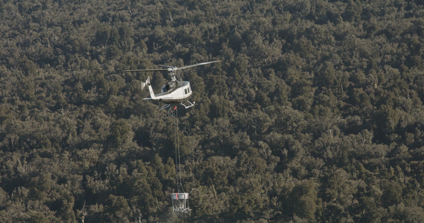 1080 Operation underway, Kaitake Range,  Taranaki