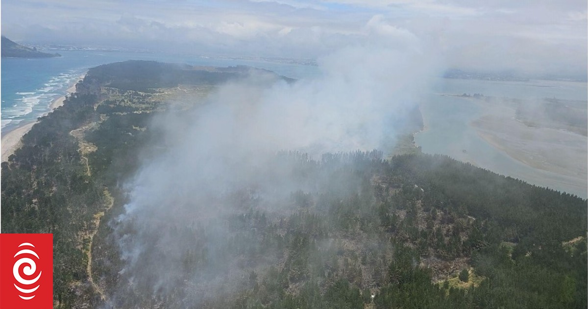 Matakana Island fire: Fire and Emergency move to monitoring - Vimarsana News