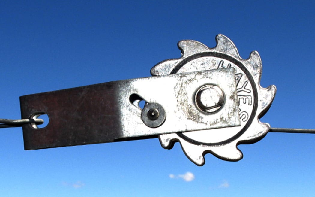 Hayes Permanent Wire Strainer