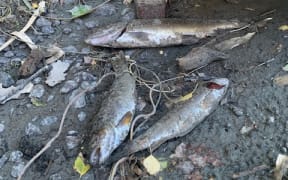 Drying creek