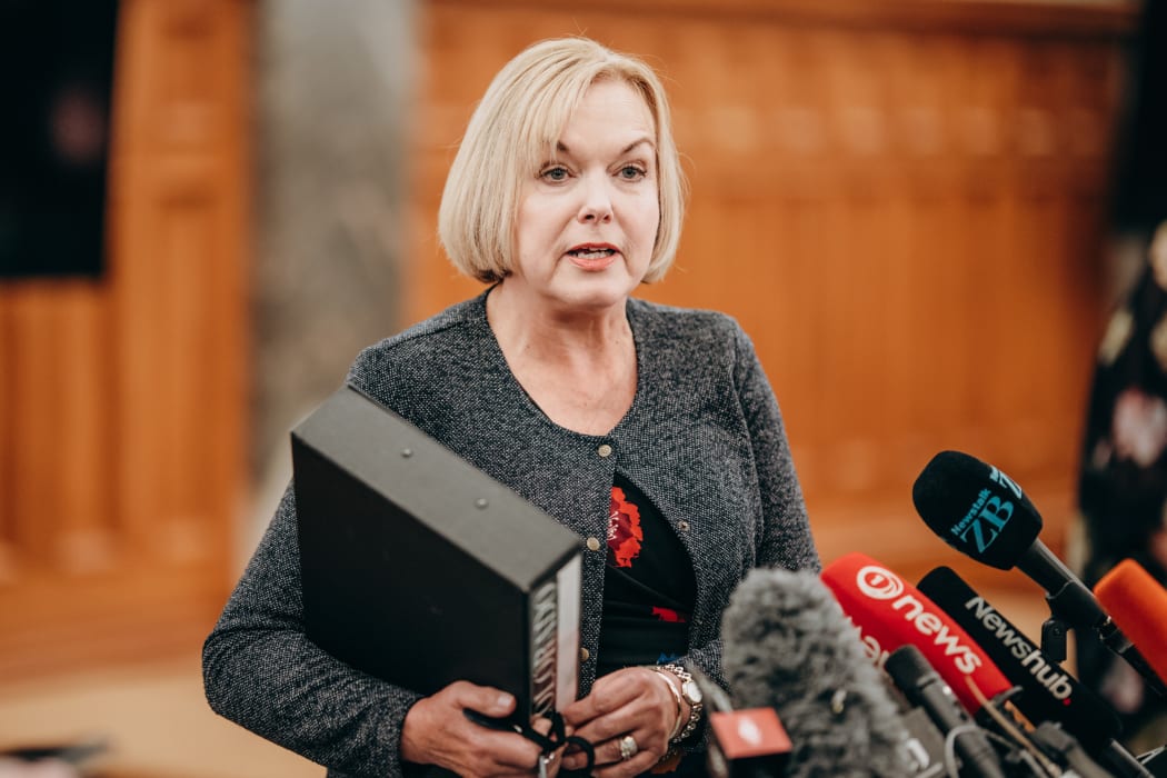 National leader Judith Collins  17/02/21