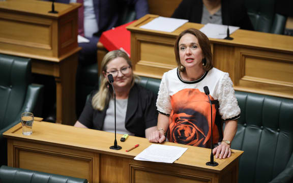 Labour MP Ginny Andersen in the House debating the third reading of her miscarriage bereavement leave bill