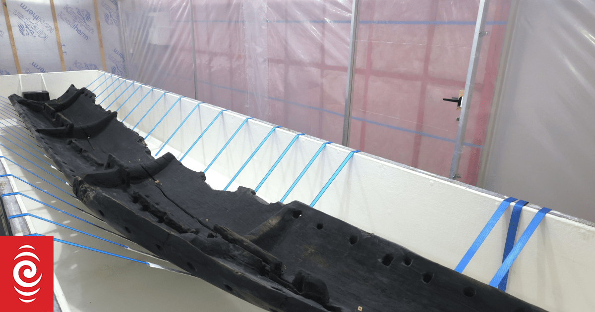 'It’ll be the talk of the town' - Tākaka home proposed for ancient waka