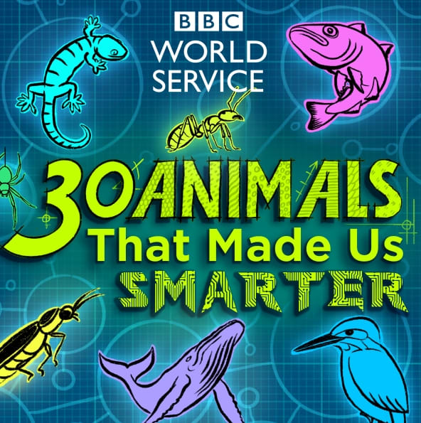 30 Animals logo (Supplied)