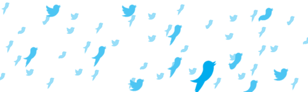 an gif of an animation of the twitter logo bird flying