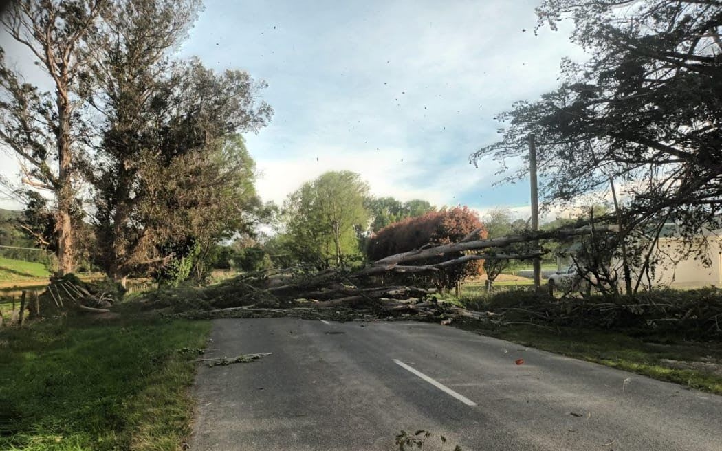 A fallen tree blocks Homewood Road, in Riversdale, Wairarapa, after one of the storms in the last week of October.