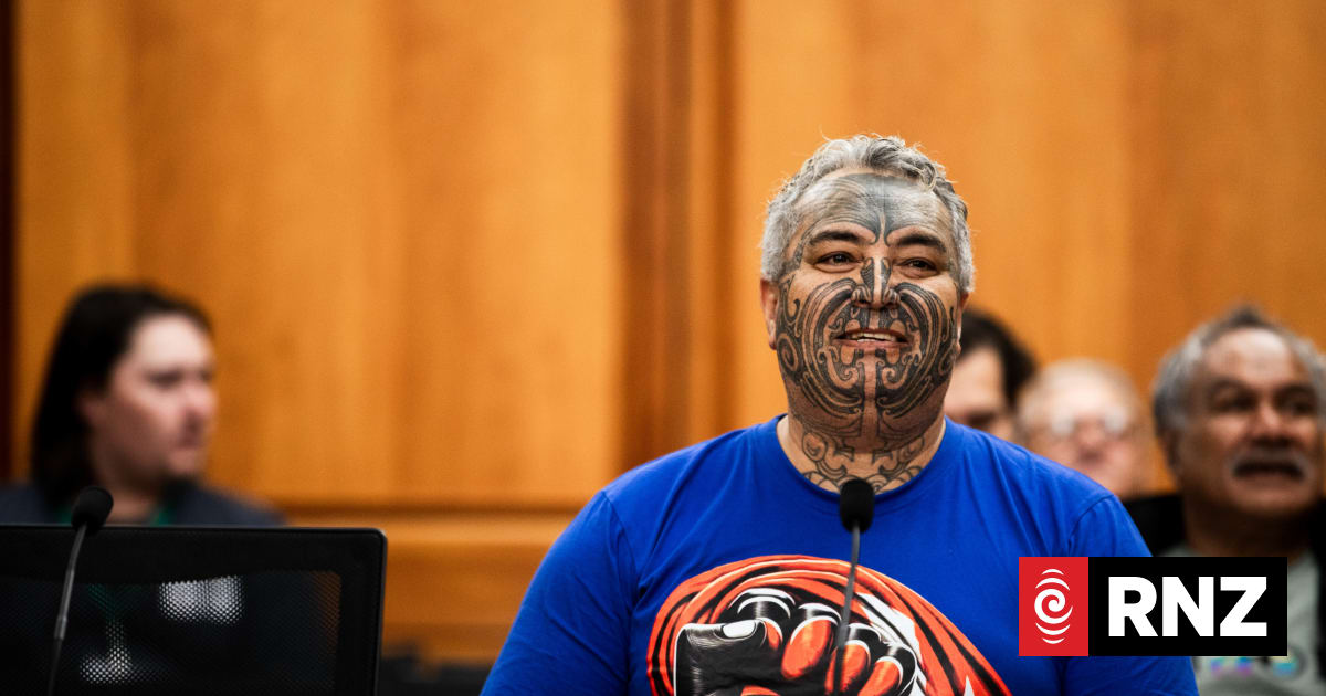 Anti-gang laws face heavy criticism at select committee | RNZ