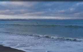 The Hardinge Road Beach in the suburb of Ahuriri early in Jan 2022.