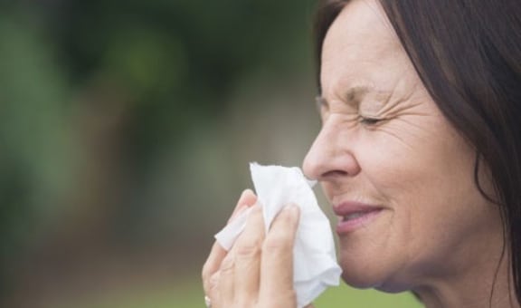 Hayfever