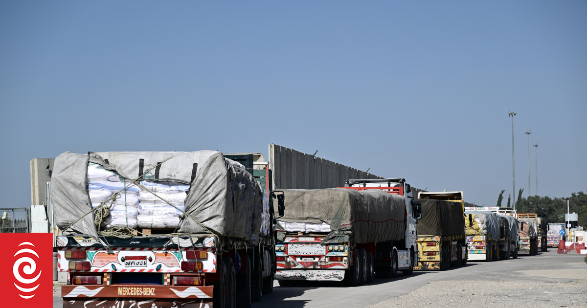 Video Shows Chaos At Aid Delivery On Gaza Beach | RNZ News