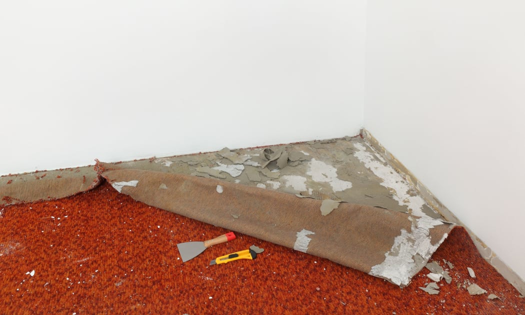 Home renovation, carpet remove in a room