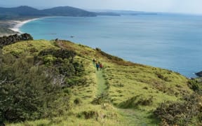 Te Whara Track near Whangarei
