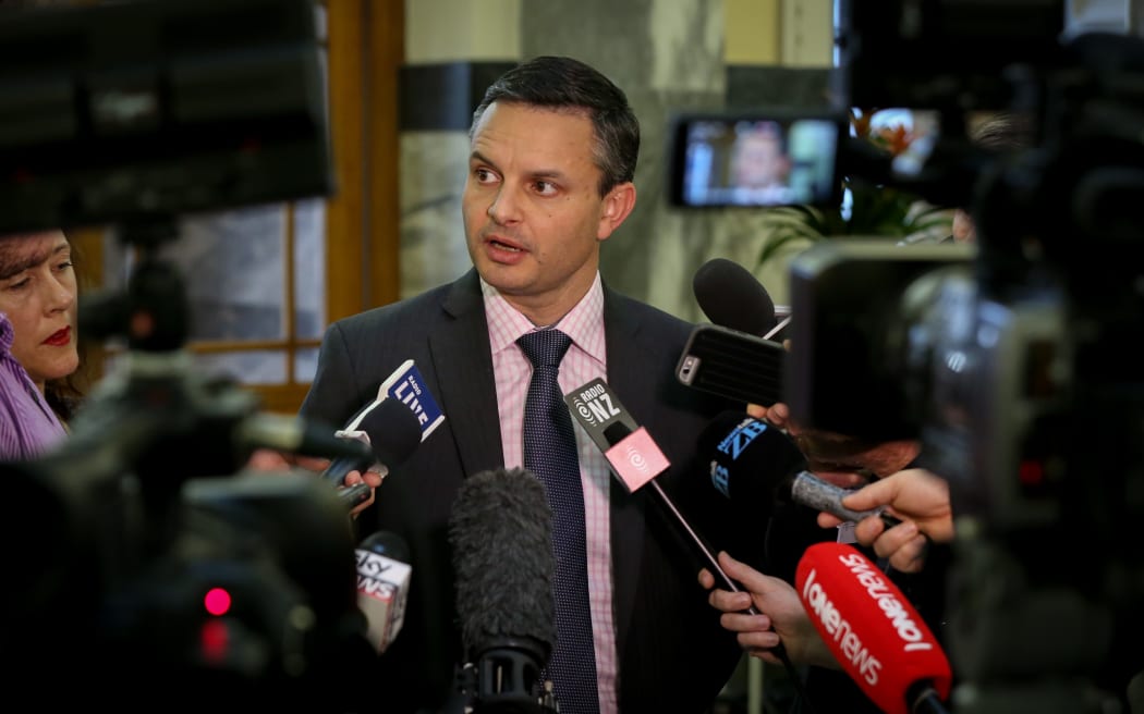 Green Party Co-leader, James Shaw.