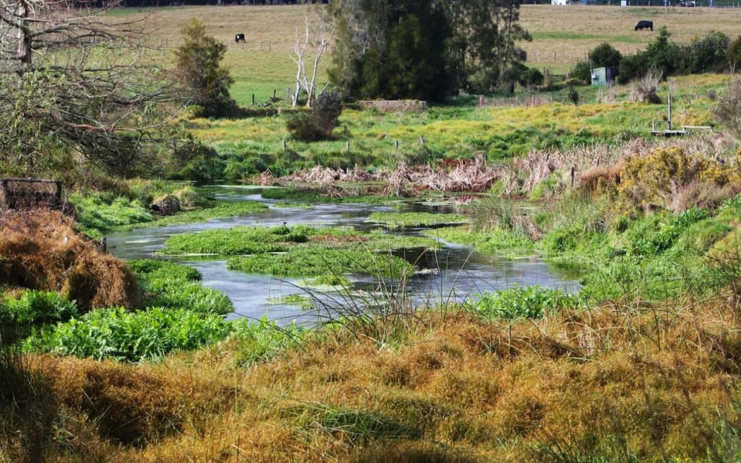 Poroti Springs has been the focal point of several court cases over the years.