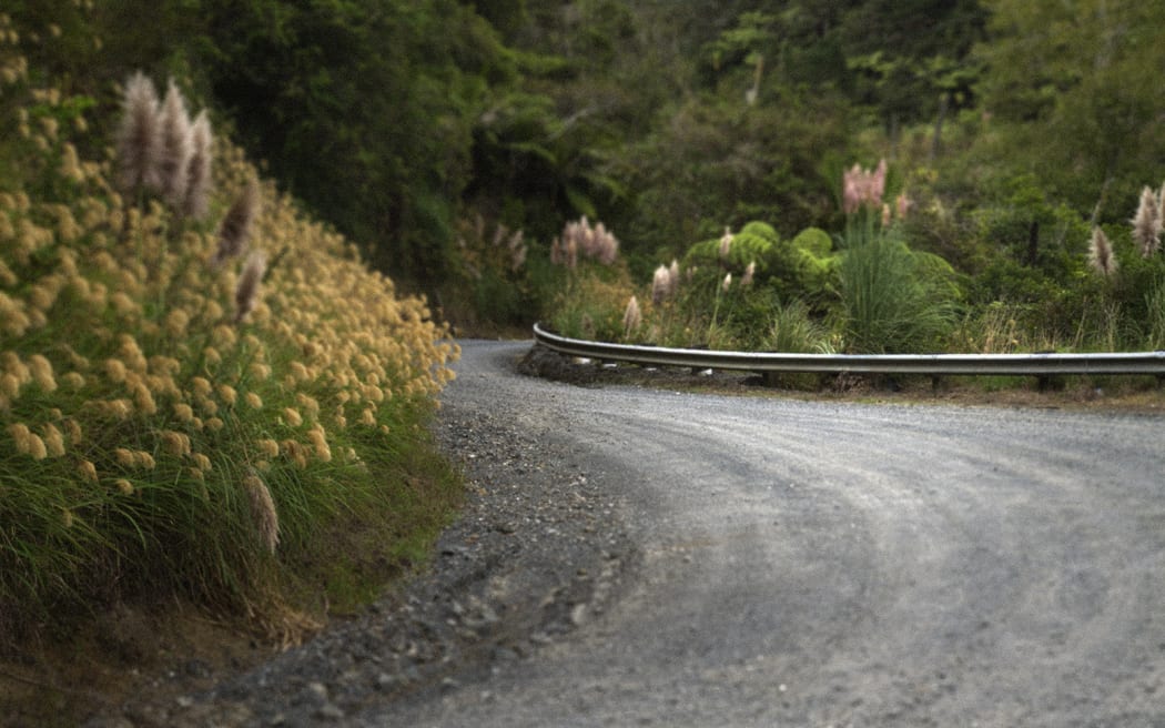 Waiwhiu Conical Peak Rd