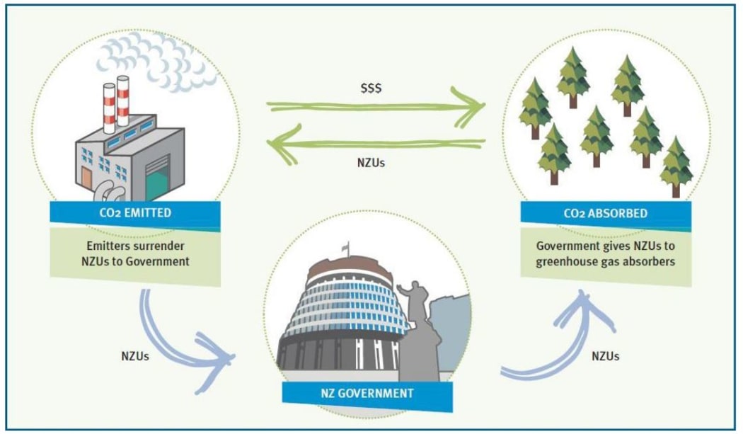 The basic concept of the NZ ETS (http://www.mfe.govt.nz/sites/default/files/media/Climate%20Change/nz-ets-review-discussion-document-november-2015.pdf)