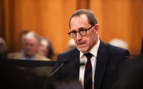 Andrew Little submitting at select committee for the Treaty Principles Bill