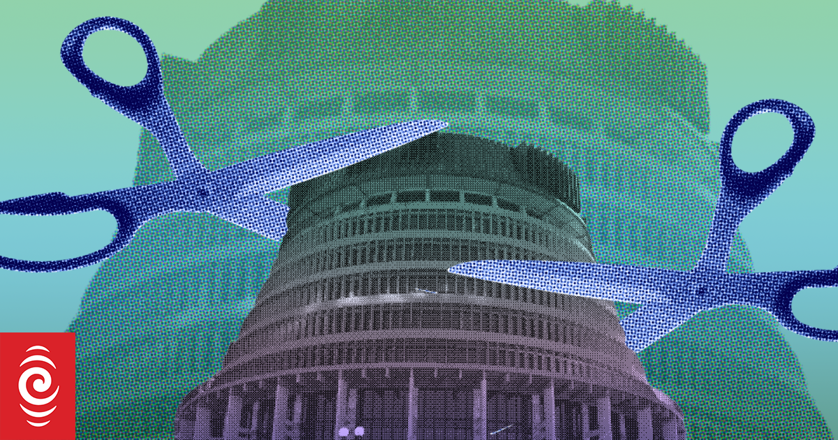 Health NZは、政府のために何百万人もの人々をもたらすチームからの仕事を提案しています