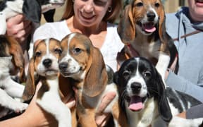 World's first test tube puppies.
