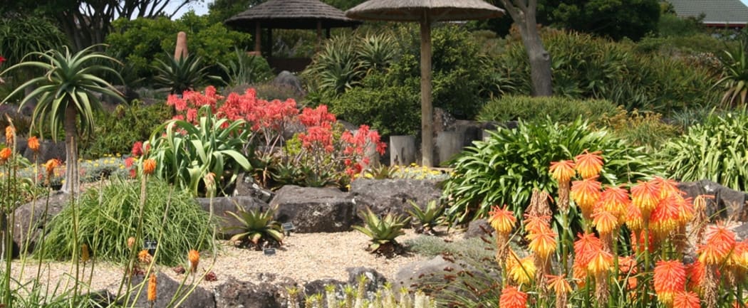 Auckland Botanic Gardens - African Garden