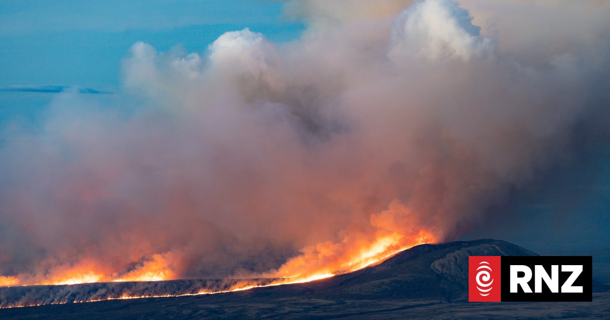 Why police initially thought the Tongariro National Park wildfire was ...